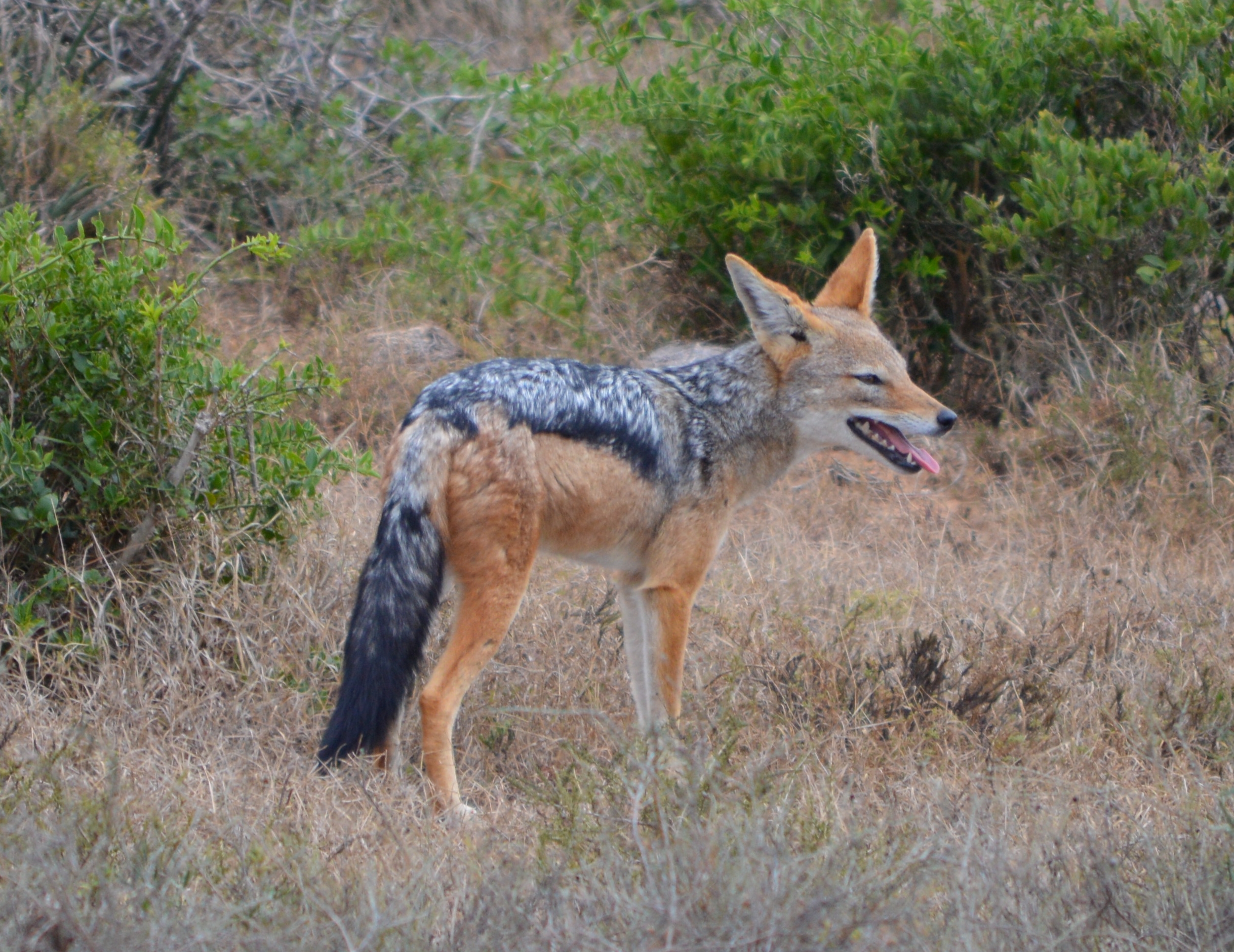 Chizarira National Park