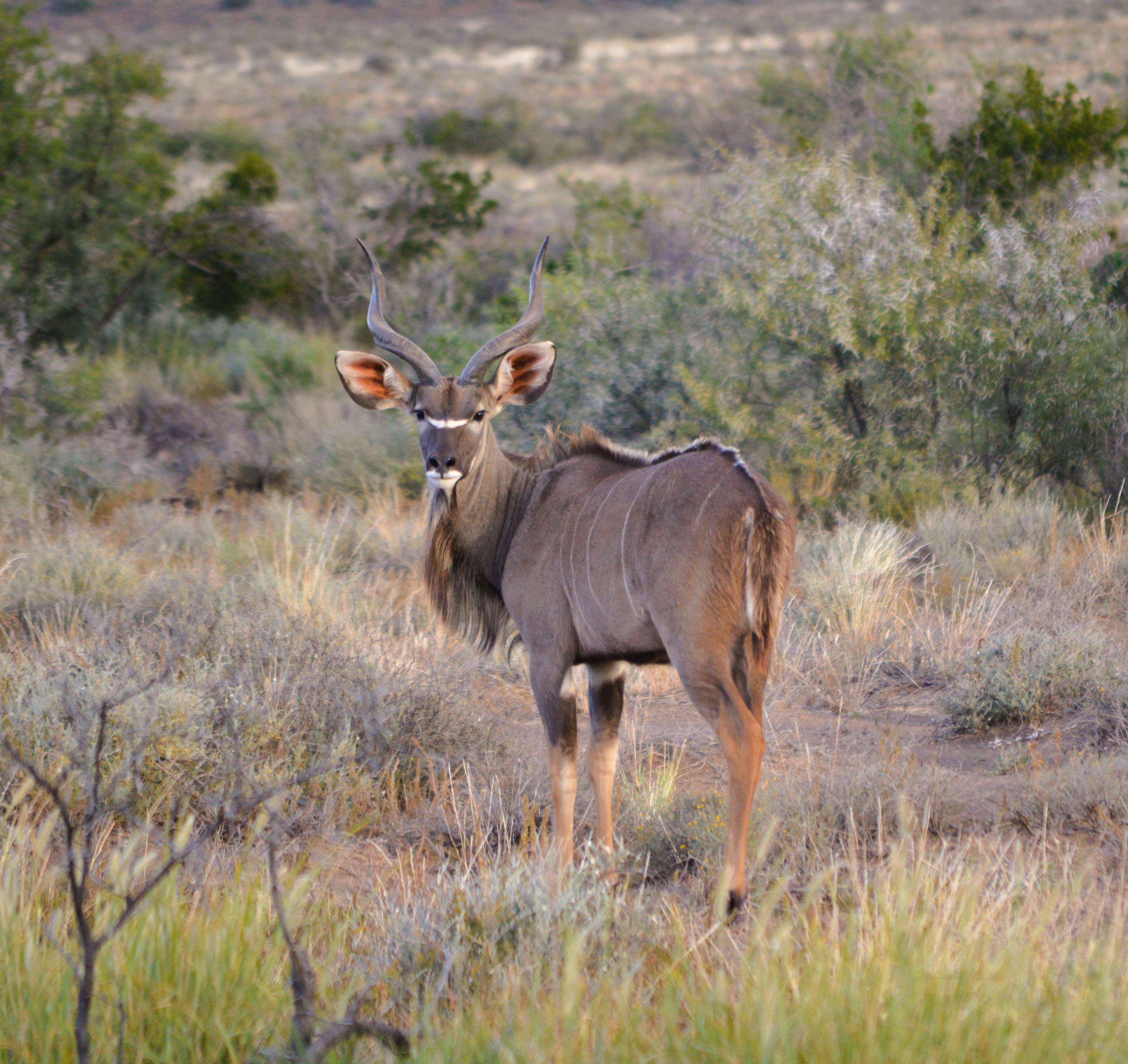 Khaudum National Park