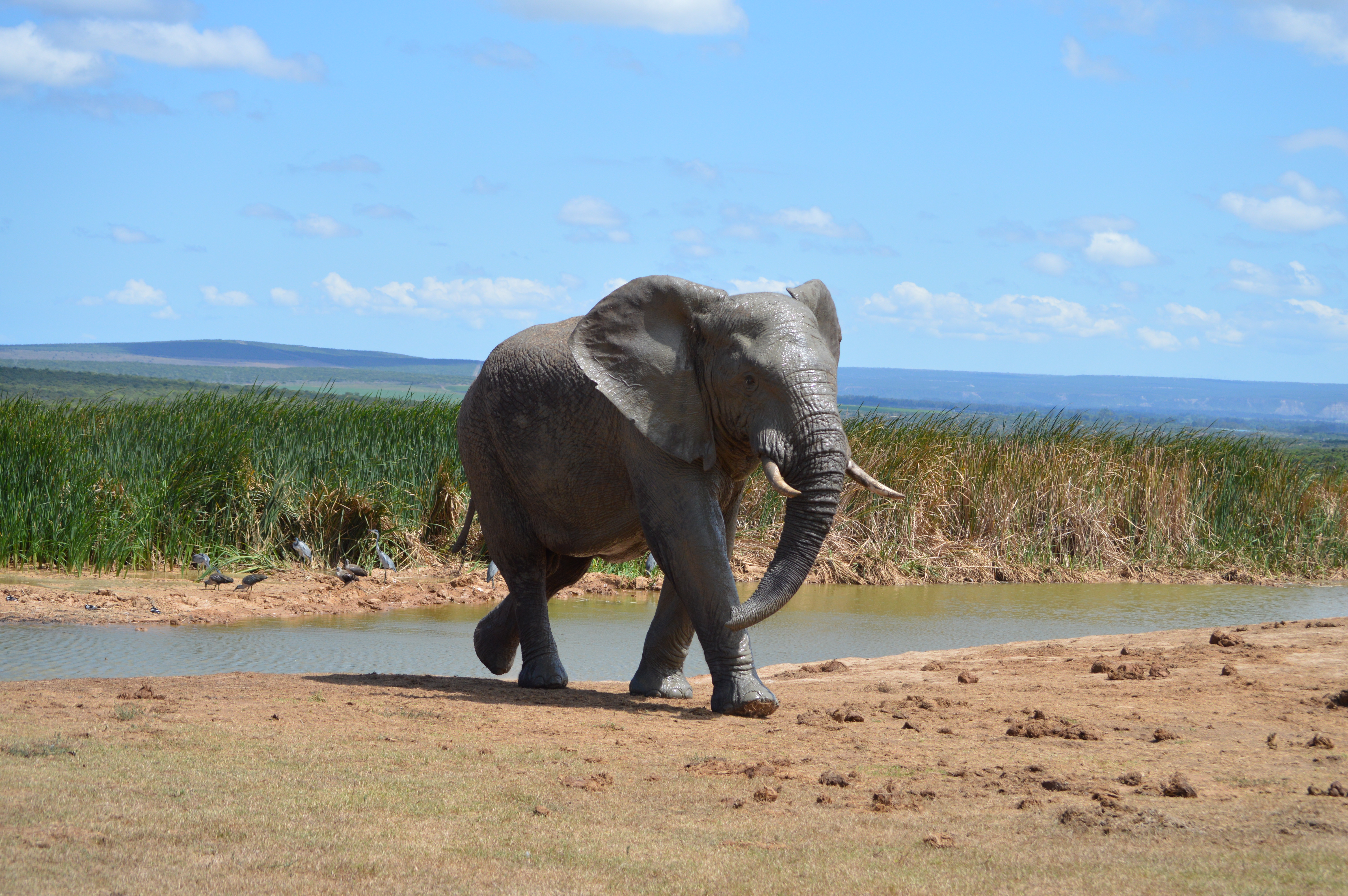 Luengue-Luiana National Park