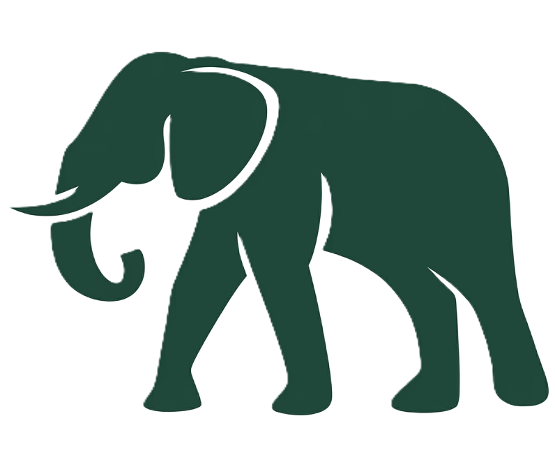 Big Five Icon